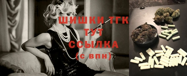 ГАЛЛЮЦИНОГЕННЫЕ ГРИБЫ Осташков
