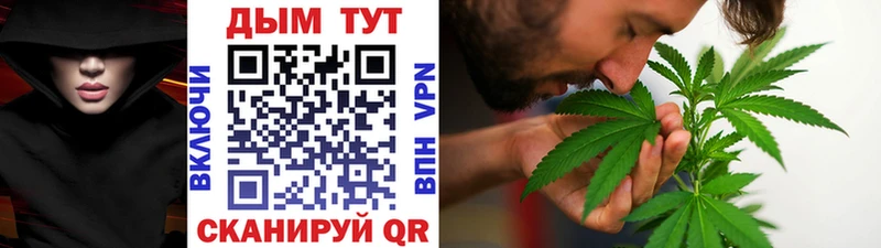 продажа наркотиков  kraken зеркало  Канабис SATIVA & INDICA  Данков 